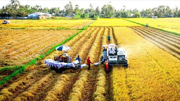 Сельскохозяйственный сектор к 2030 году стремится привлечь 25 млрд. долл. США ПИИ