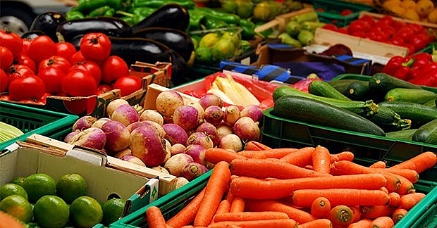 Инсайдеры уверены, что заработают 4 млрд. долл. США на экспорте фруктов и овощей