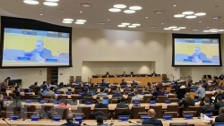 Вьетнам призвал к эффективному осуществлению миротворческих операций ООН