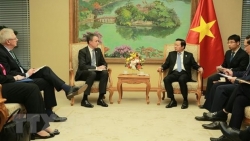 Вьетнам желает получить помощь от международных партнеров в реализации JETP