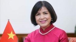 Вьетнам продолжает содействовать инициативам по повышению эффективности Совета по правам человека