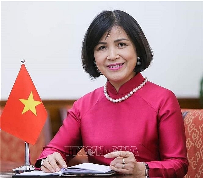 Вьетнам продолжает содействовать инициативам по повышению эффективности Совета по правам человека