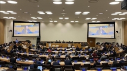 Вьетнам обязуется эффективно осуществлять Программу действий по СОЛВ