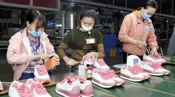 Впервые на долю Вьетнама пришлось 10% мирового рынка экспорта обуви