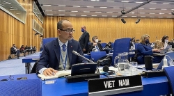 Вьетнам разделяет обеспокоенность стран мира в связи с ядерной безопасностью в Украине