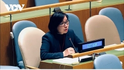 Вьетнам поддерживает превращение ООН в более сильную и эффективную организацию.