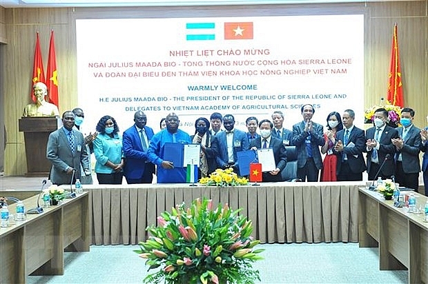 Вьетнам и Сьерра-Леоне активизируют сотрудничество в области сельского хозяйства и цифровой трансформации