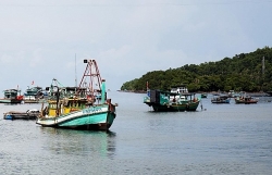 Cоздание инструмента, способствующего устойчивому развитию морского хозяйства