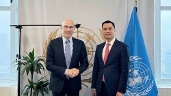 Глава вьетнамской миссии при ООН провел рабочую встречу с заместителем генсека ООН по политическим вопросам Фолькером Тюрком