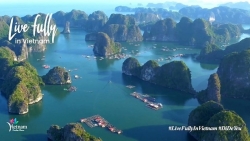 Туристический сайт Вьетнама остается популярным