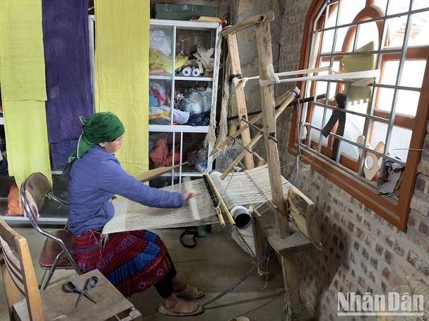Обеспечение трудоустройства и гарантия прав для женщин этнических меньшинств в провинции Хазянг