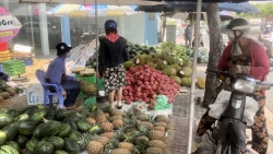 Таиланд стремится совместно с Вьетнамом открыть “зеленый коридор” для экспорта фруктов в Китай