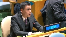 Вьетнам готов внести существенный вклад в форумы развития ООН