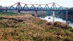Мосты – символы туризма Вьетнама