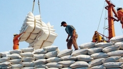 Стоимость экспорта вьетнамского риса за первые четыре месяца года превысила 1 миллиард долларов США