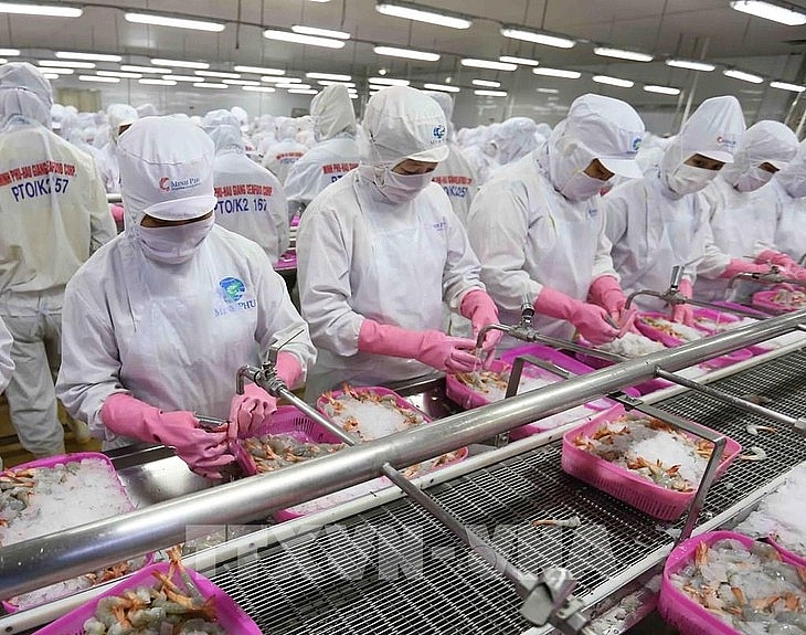 Экспорт морепродуктов Вьетнама продолжает расти
