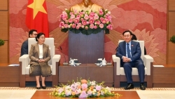 Председатель НС СРВ Выонг Динь Хюэ принял Председателя Верховного народного суда Лаоса