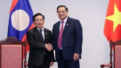 Премьер-министр Фам Минь Тинь встретился руководителями некоторых стран АСЕАН
