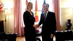 Вьетнам и Дания активизируют народную дипломатию и двусторонние связи