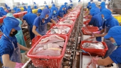 Экспорт морепродуктов два месяца подряд превышает отметку в 1 миллиард долларов США