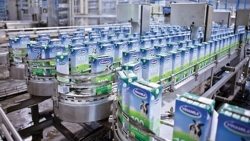 В международной выставке VIETNAM DAIRY 2022 примут участие престижные отечественные и иностранные бренды