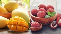 Положительные сигналы для вьетнамского экспорта фруктов