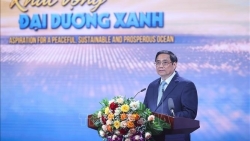 Вьетнам полон решимости объединить усилия с международным сообществом в защите океанов