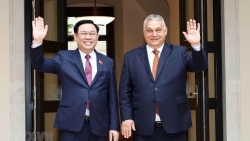 Углубление отношений всеобъемлющего партнерства между Вьетнамом и Венгрией
