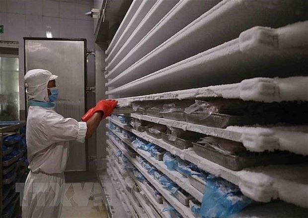 Вьетнам предложил ЕС рассмотреть вопрос о финансировании 5 умных холодильных хранилищ в дельте реки Меконг