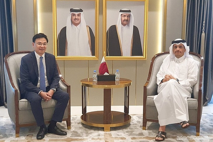 Вьетнам и Катар повышают эффективность экономического сотрудничества