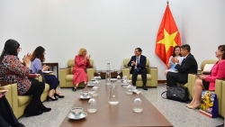 Укрепляются отношения дружбы и всеобъемлющего сотрудничества между Вьетнамом и Венесуэлой