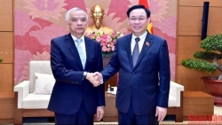 Развитие особых отношений с Лаосом является первоочередным приоритетом Вьетнама