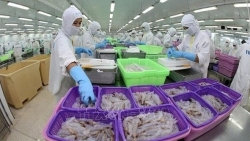 CPTPP способствует экспорту рыбной продукции из Вьетнама в Японию
