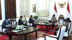 Вьетнам намерен углубить Стратегическое партнёрство с Индонезией