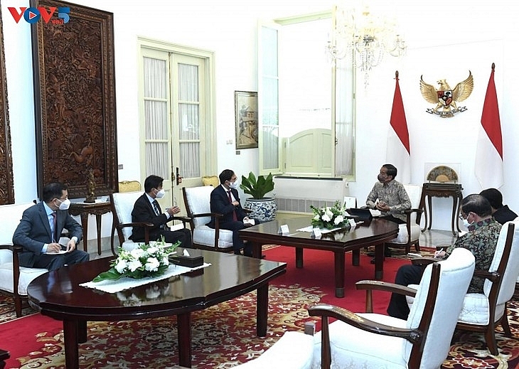 Вьетнам намерен углубить Стратегическое партнёрство с Индонезией