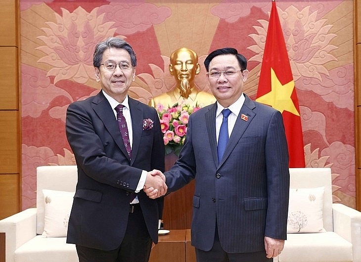 Председатель НС СРВ Выонг Динь Хюэ принял старшего управляющего директора Японского банка международного сотрудничества