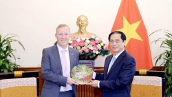 Министр иностранных дел Вьетнама принял посла Великобритании в связи с окончанием его срока работы во Вьетнаме