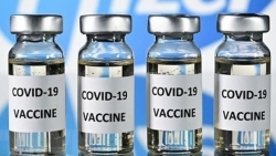 Правительство Вьетнама решило дополнительно закупить  20 миллионов доз вакцин Pfizer