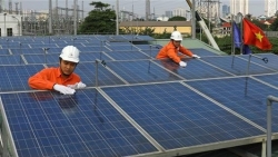 Вьетнам считается «зелёной энергетической державой» Азии