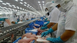 Экспорт рыбной продукции в 2021 году может принести 9 млрд. долл. США