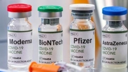 Pfizer и министерство здравоохранения Вьетнама заключили соглашение о предоставлении дополнительных 20 миллионов доз вакцин