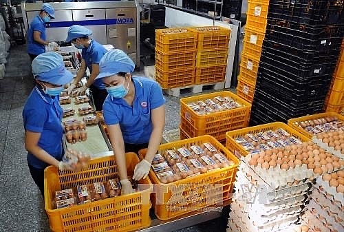 Квота на импорт табачного сырья и яиц домашних птиц из Евразийского экономического союза