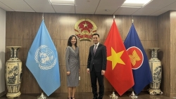 Постоянный координатор ООН во Вьетнаме поддерживает приоритеты Вьетнама в ООН