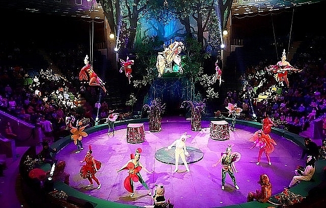 Многие отечественные и зарубежные цирковые труппы будут гастролировать на Международном цирковом фестивале 2022 года в Ханое