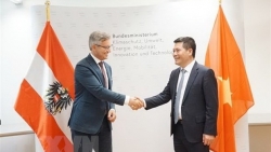 Вьетнам и Австрия стремятся к сотрудничеству в области возобновляемой энергетики и устойчивого развития
