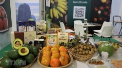 Вьетнамские фермерские продукты представлены на международной выставке плодовоовощной продукции в Италии