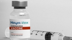 Вьетнам одобрил седьмую вакцину против COVID-19 Hayat - Vax