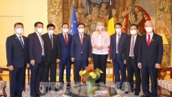 Бельгийские СМИ: турне спикера вьетнамского парламента по Европе способствует поднятию отношений между ЕС и Вьетнамом на новую высоту