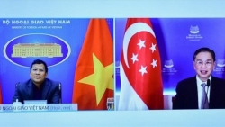 Вьетнам и Сингапур активизируют сотрудничество в борьбе с COVID-19