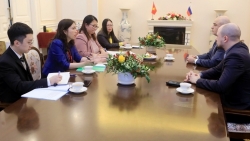 Департаменты информации и печати МИД Вьетнама и России провели двусторонние консультации